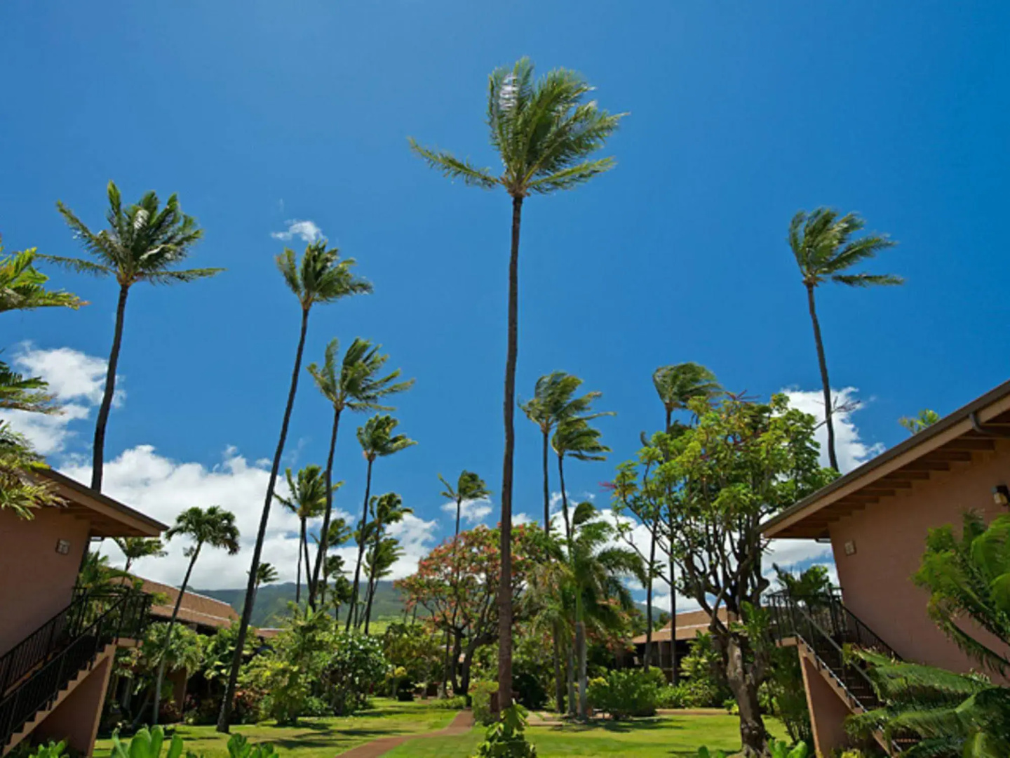 Maui Sands