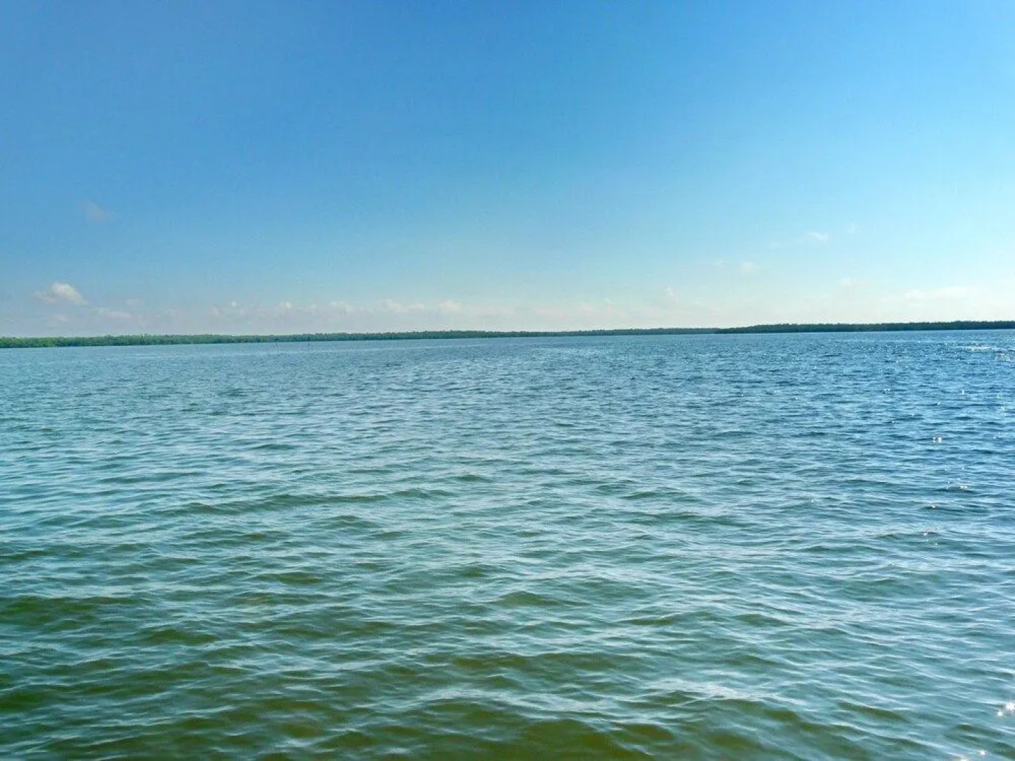 449 Pepperwood Court