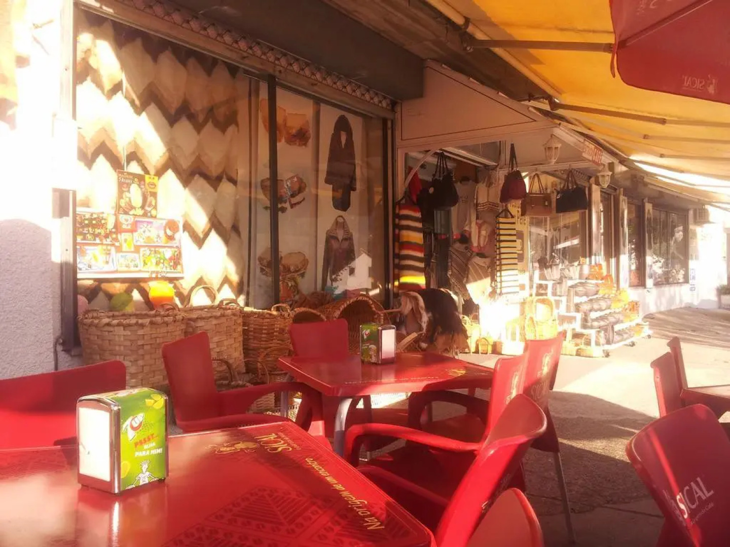 A TORRE no Sabugueiro