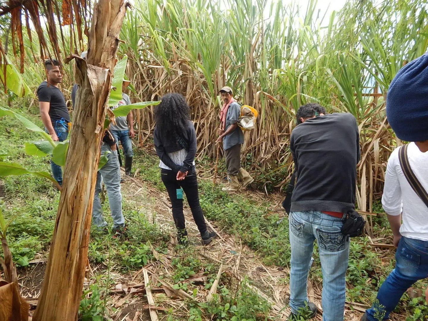 Finca Hotel La Rivera