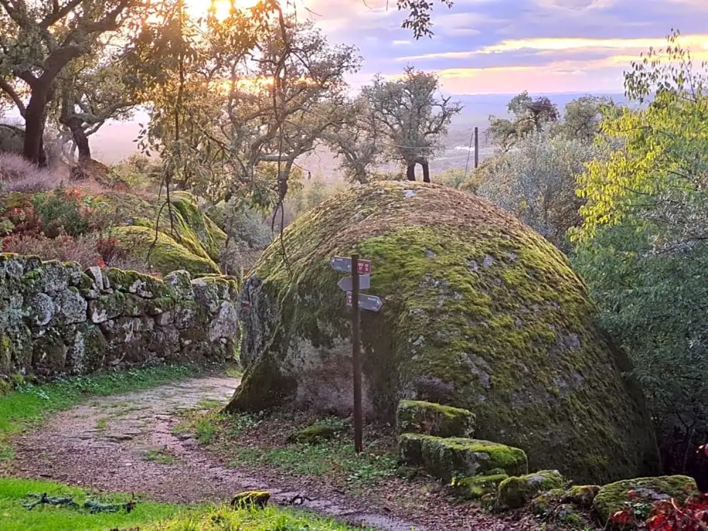 Quinta de São Pedro de Vir-a-Corça em Monsanto