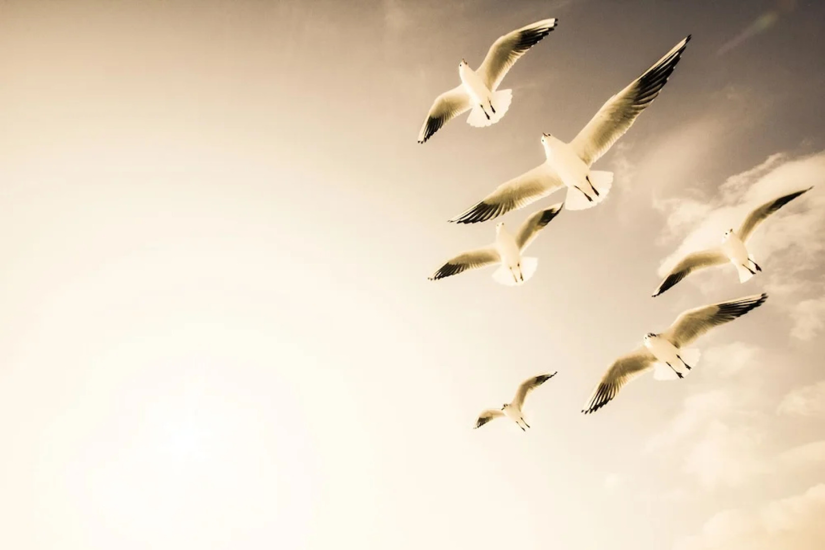 DOCK INN Hostel Warnemünde