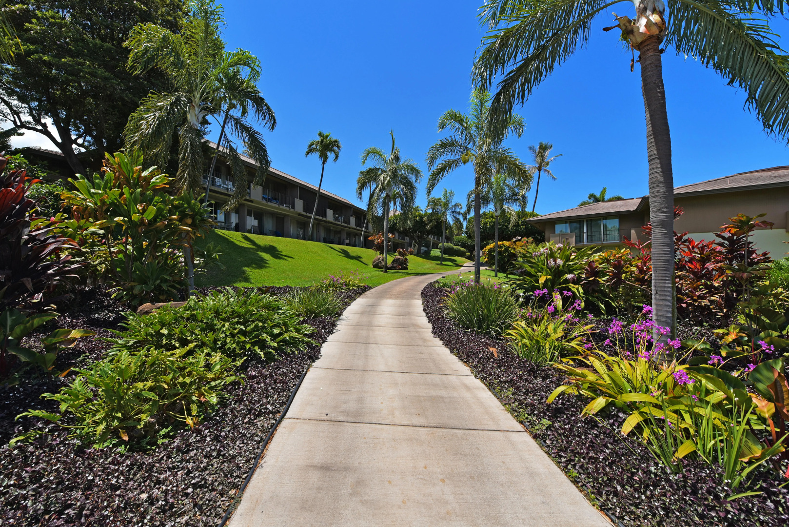 Eldorado K203 in Lahaina