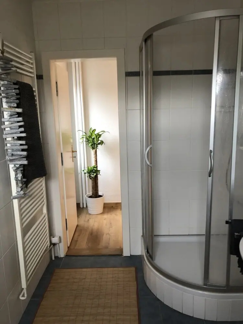 Renovated 3-room Apartment in the City Center