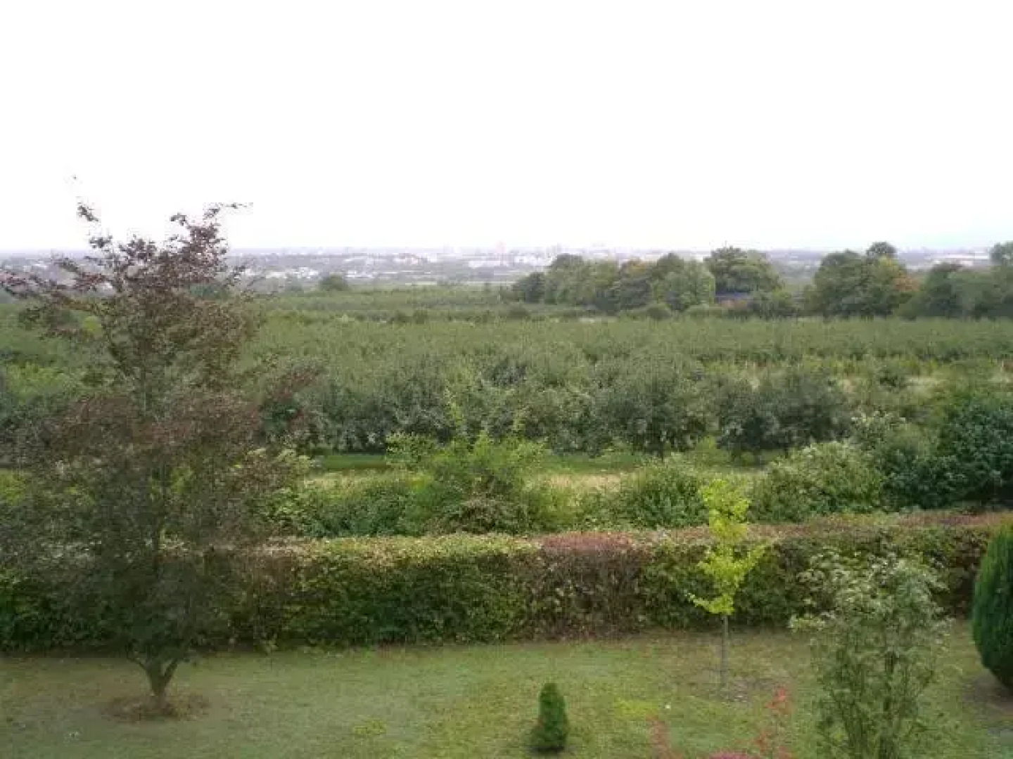 Weitblick über Mainz