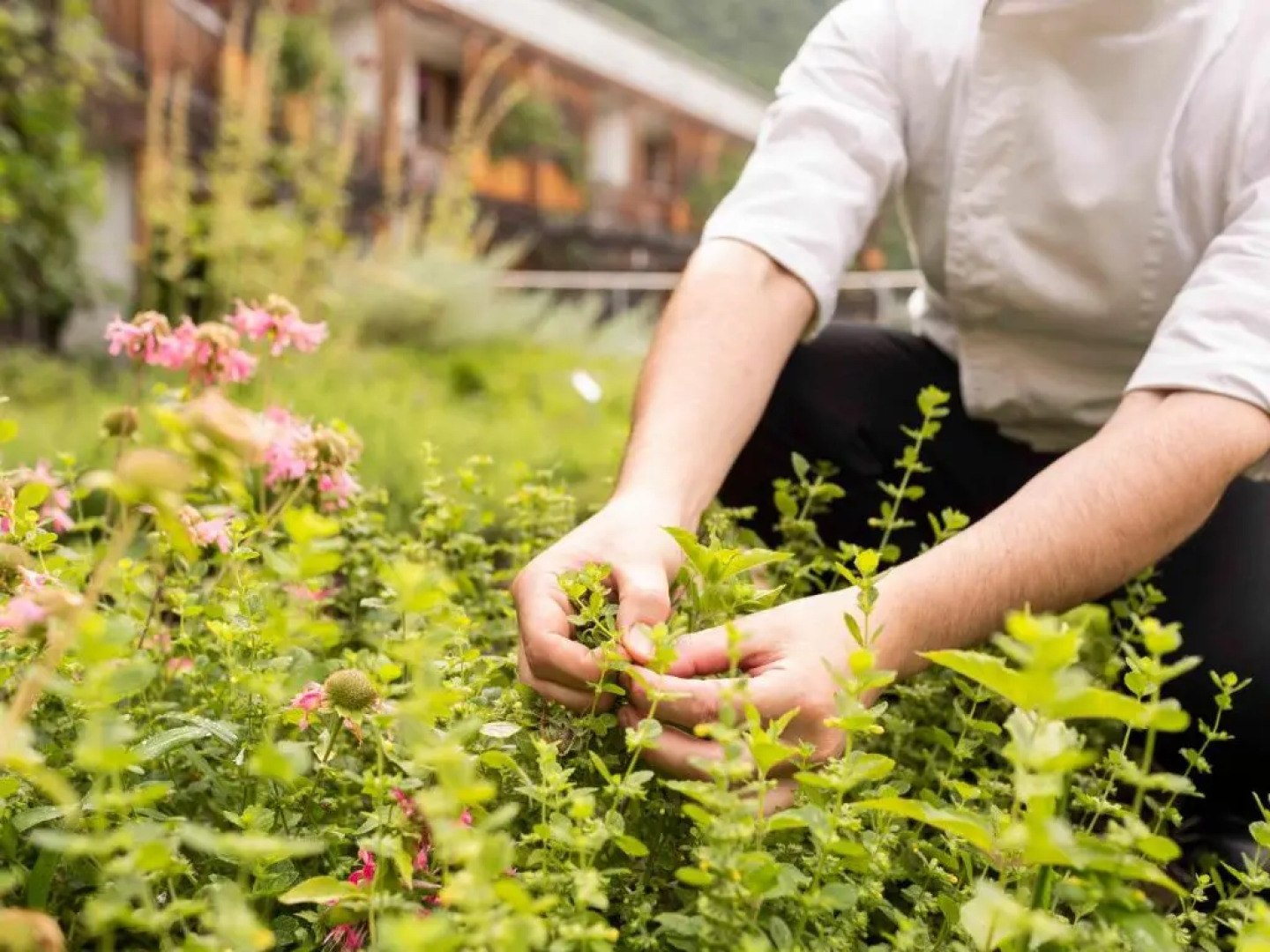 Biohotel theiner's garten