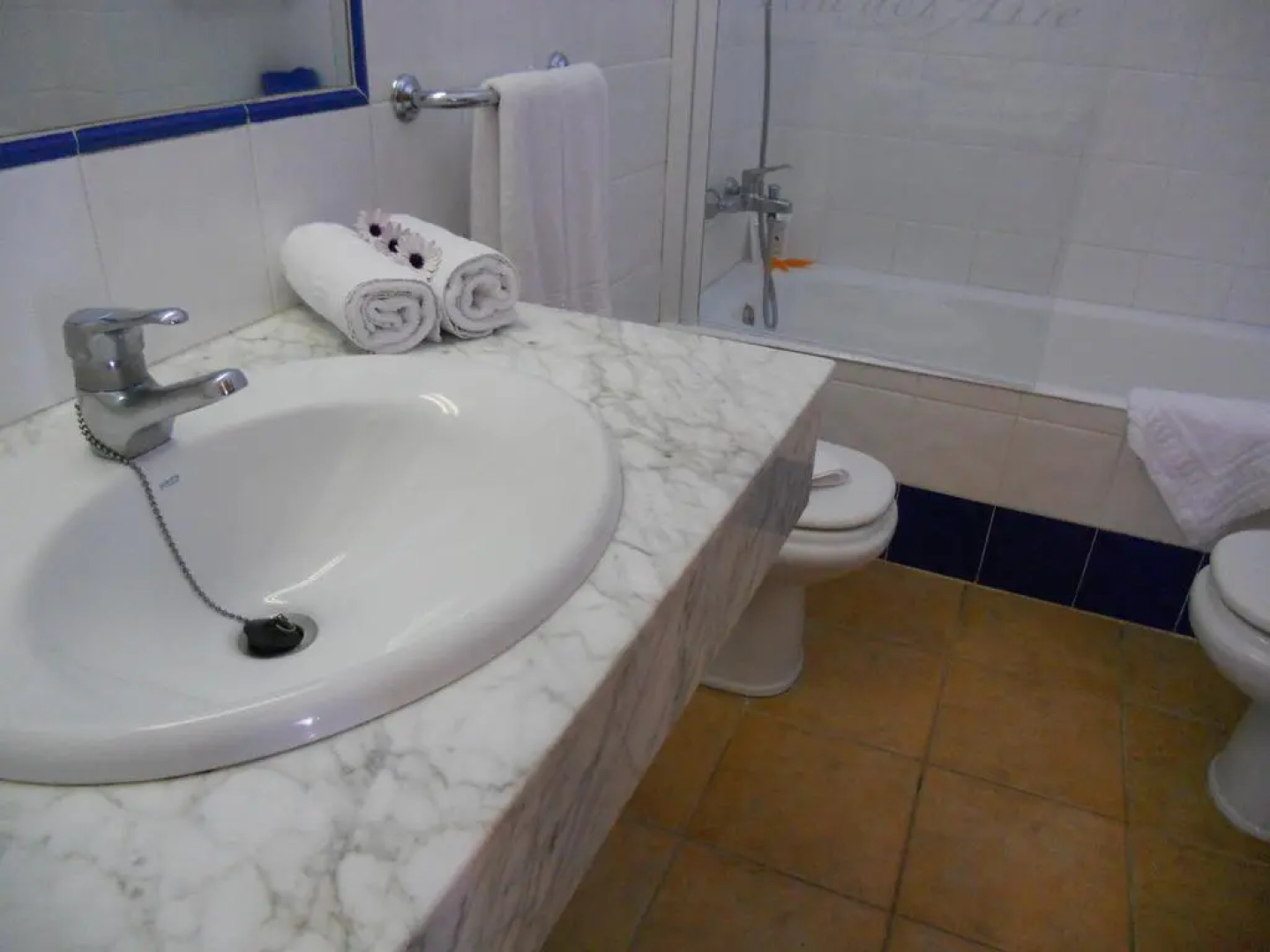 Comitas Isla del Aire