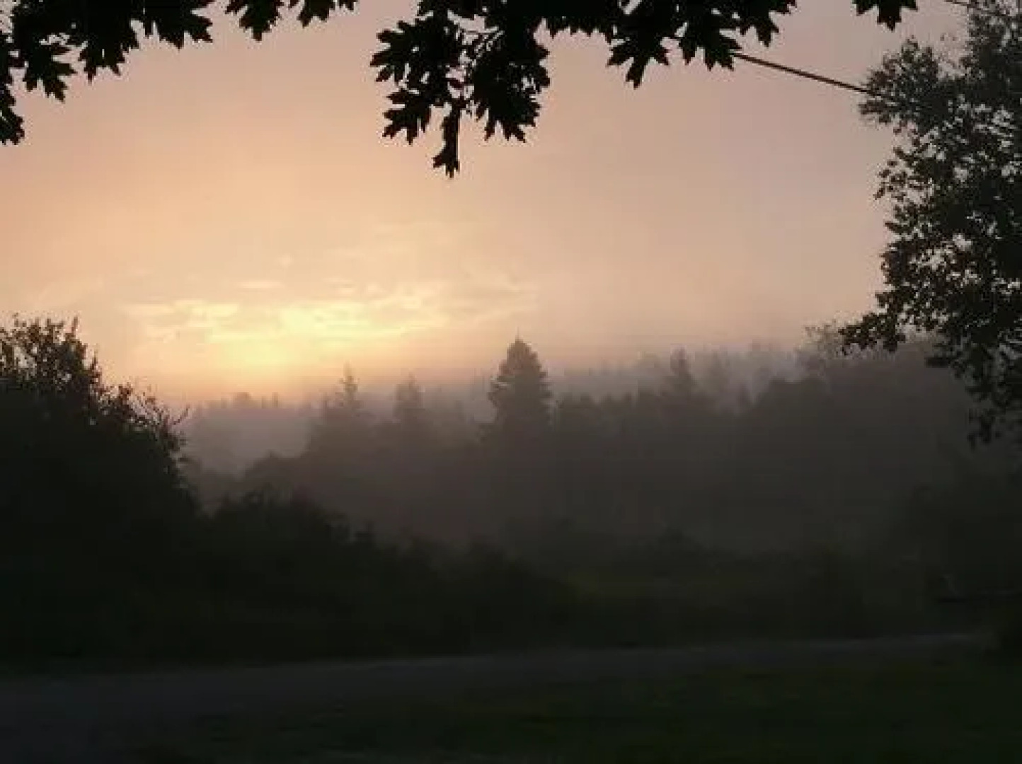 Florentine Manor Bed & Breakfast