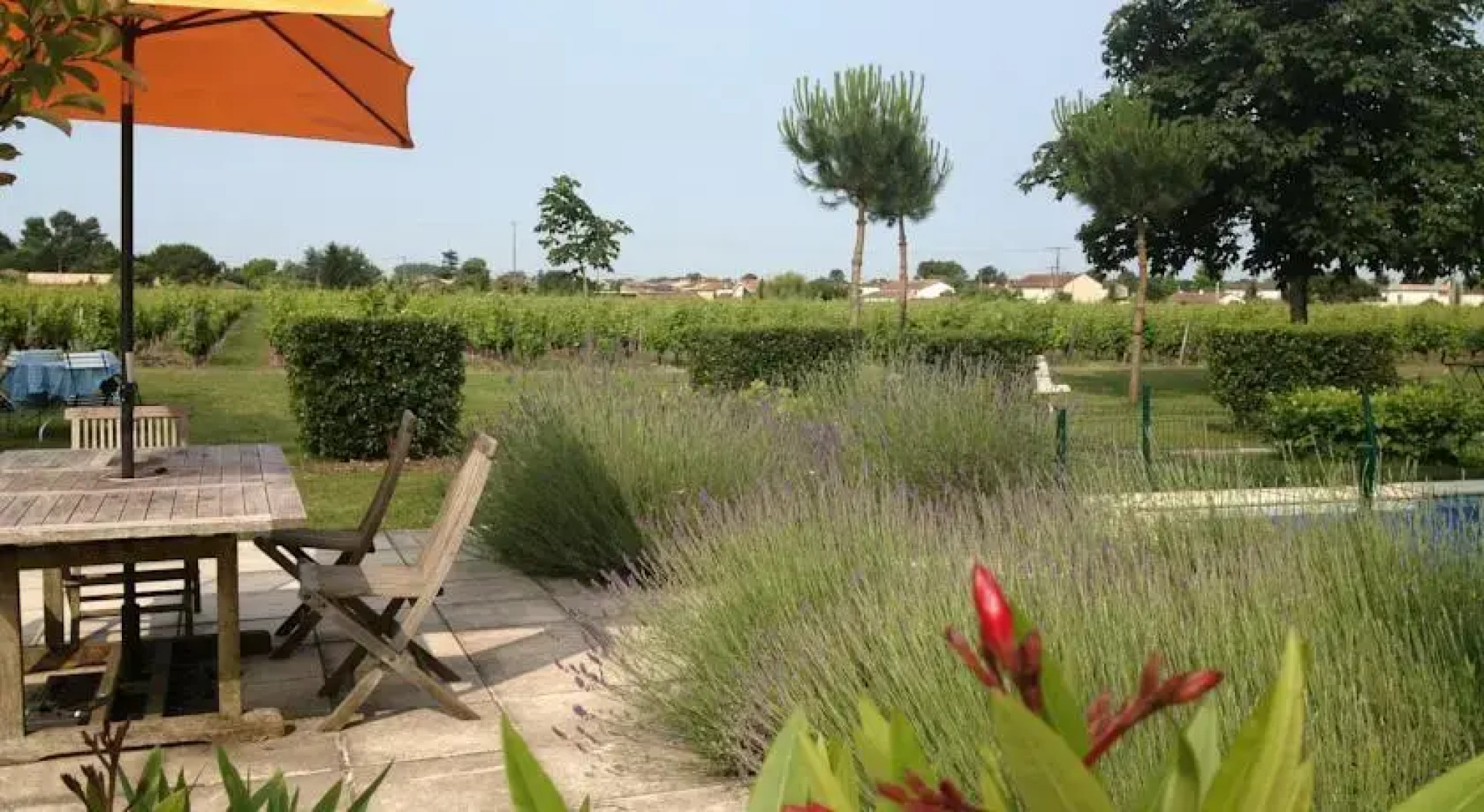 Château des Grandes Vignes