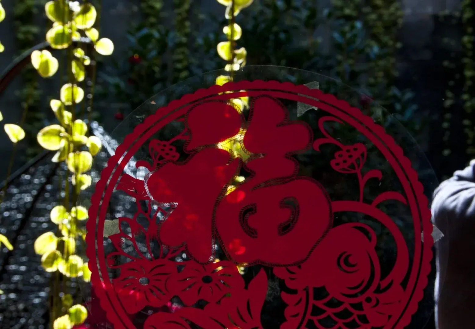 Lijiang Lu House Boutique Hotel