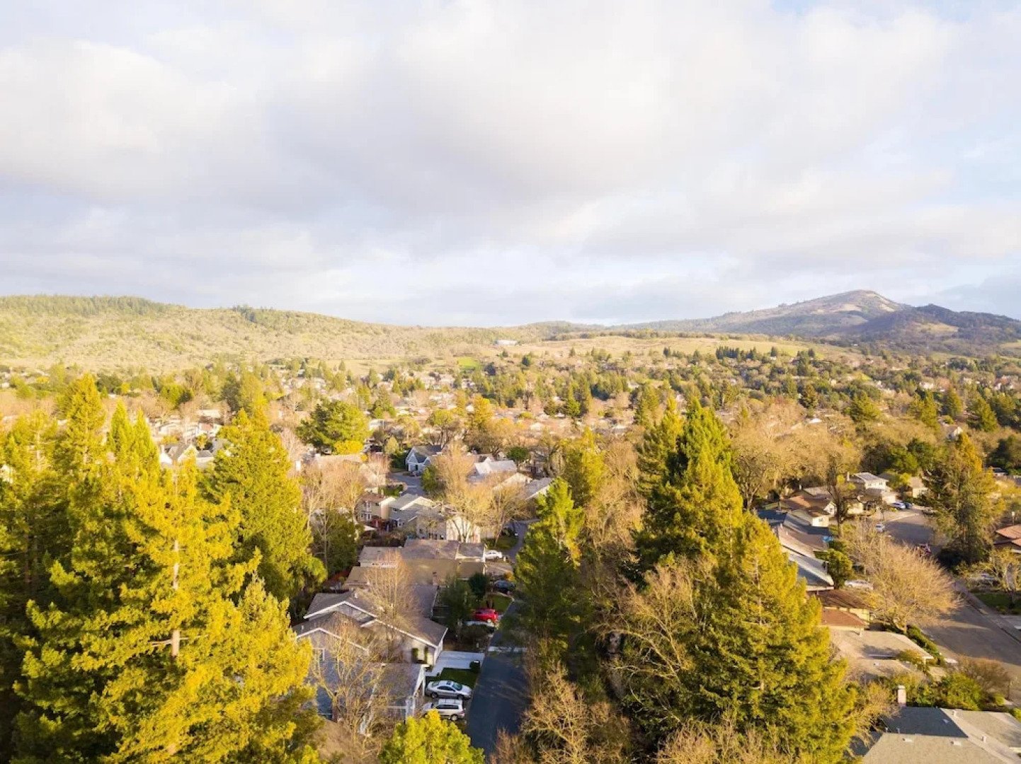 Marigold - Warm & Stylish Home in Wine Country w Pool