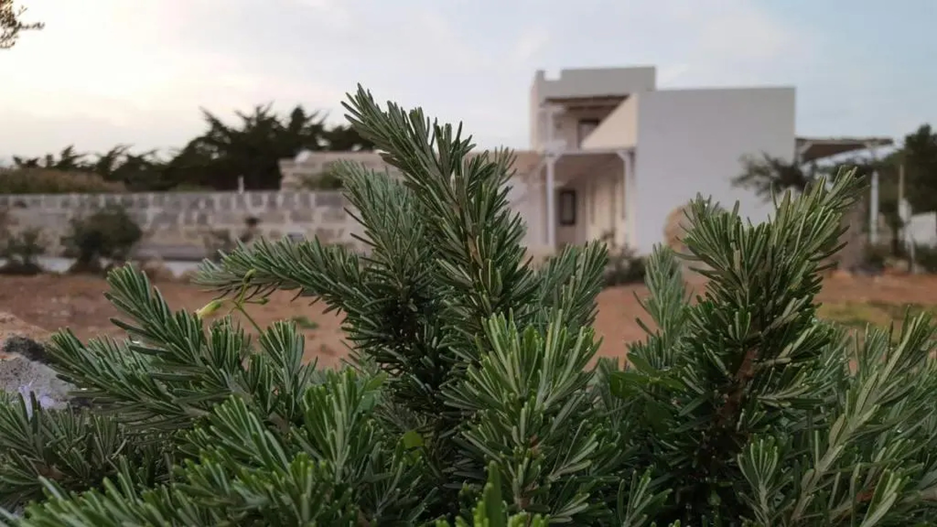 casa vacanze senia del rais