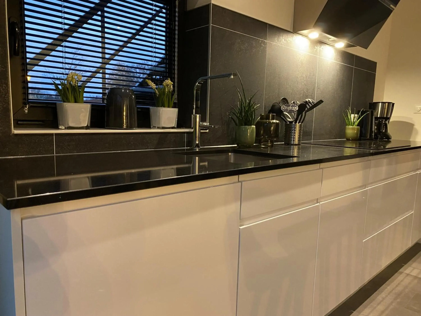 GREEN VILLA - Nachhaltiger Urlaub am Veluwemeer - großer Garten - Dachterrasse mit Meerblick - bis 2 Hunde inklusive