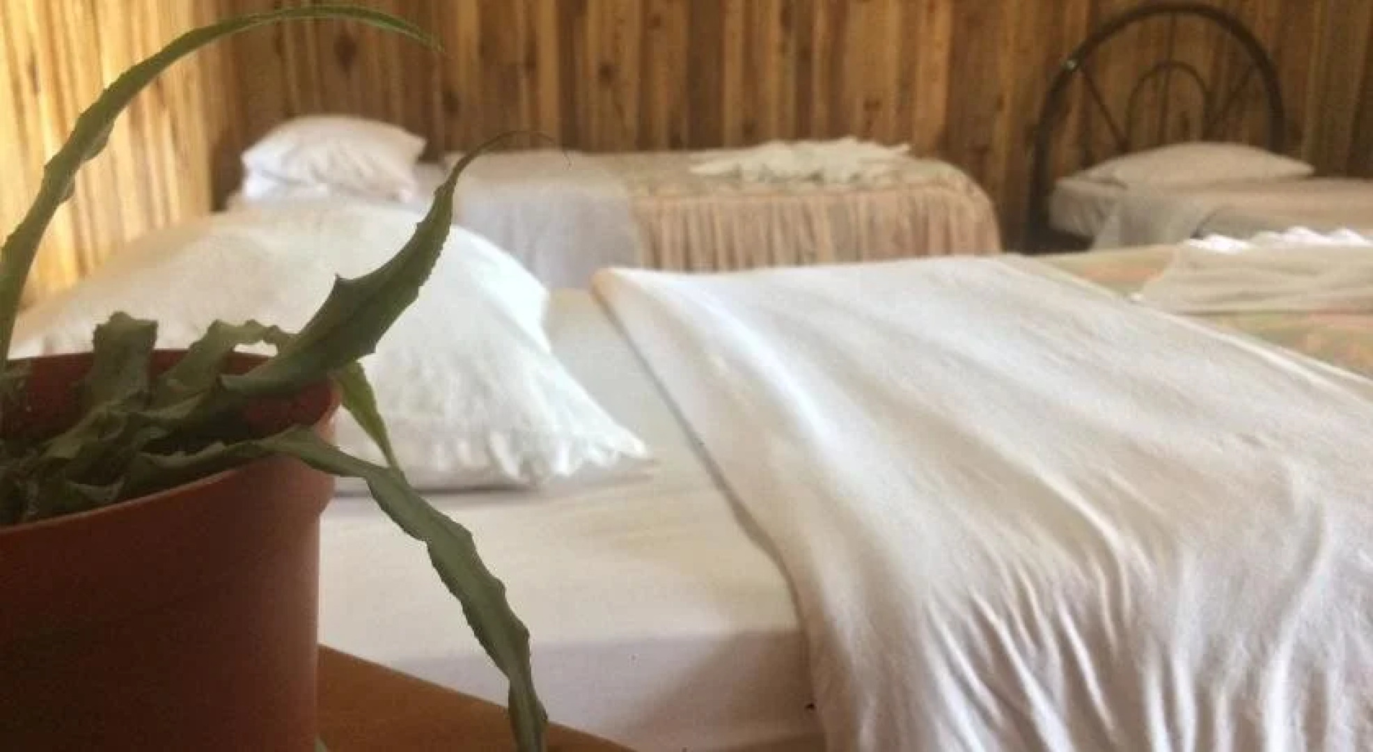 Monte Los Lirios Lodge