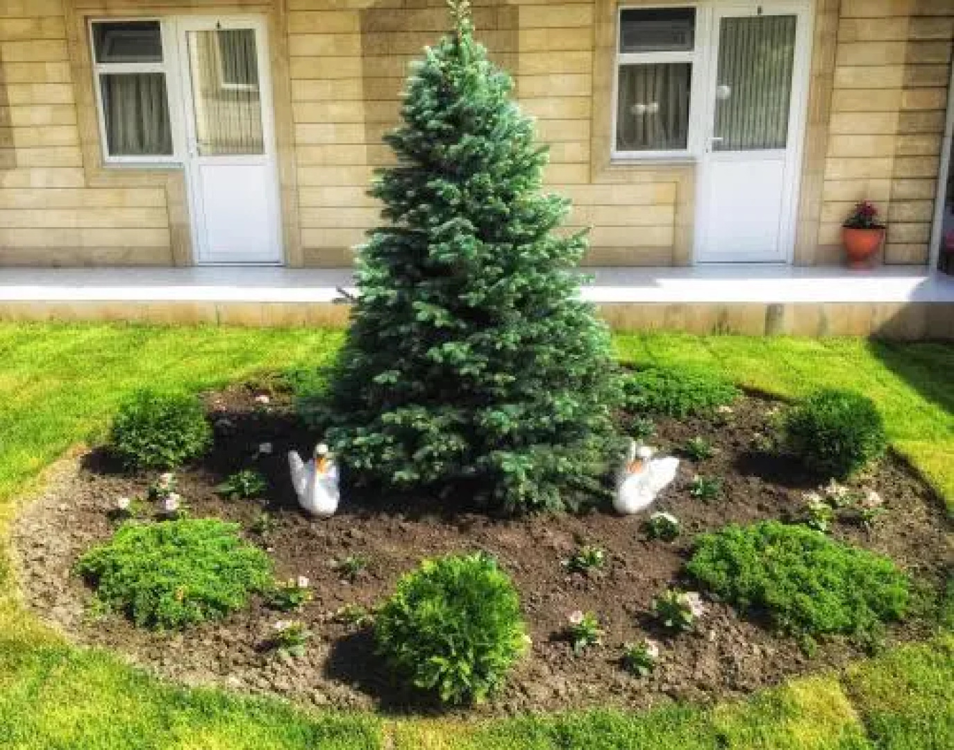 Guest House Belaya Lebed`