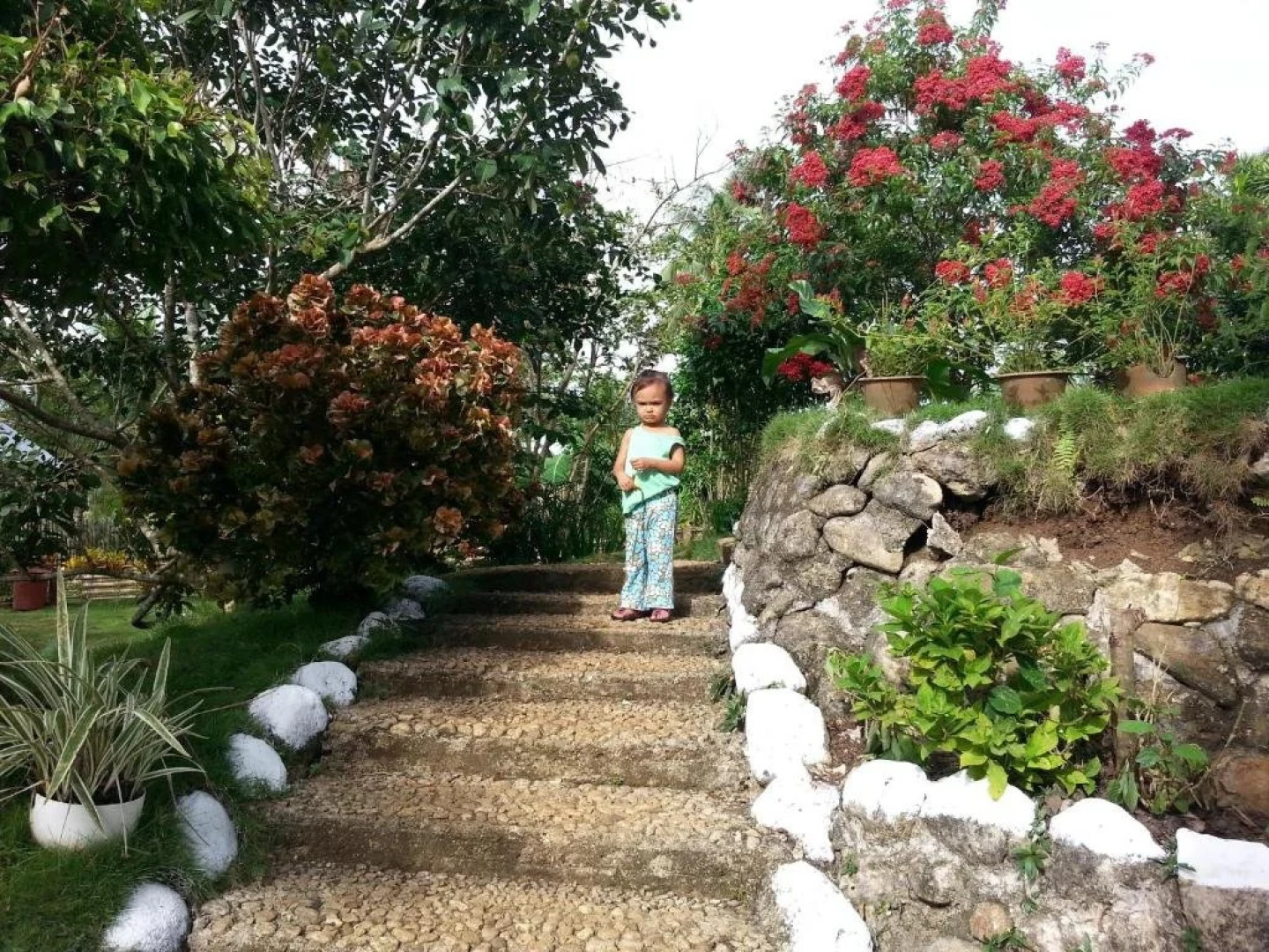 Villa del Carmen Bed and Breakfast