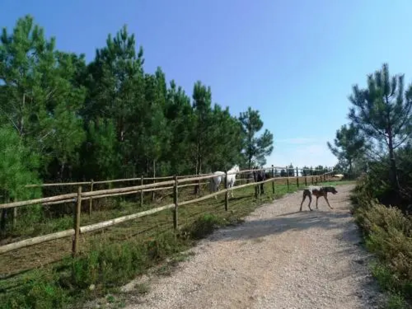 TEIMA Alentejo SW
