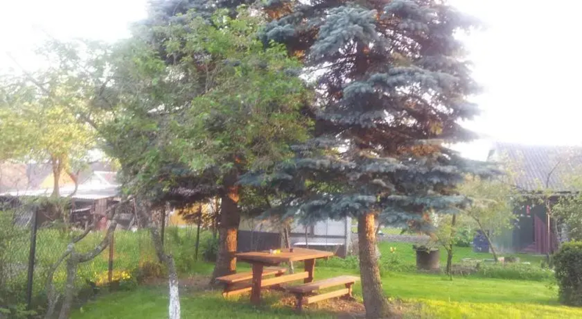 Prie Sidabrinės Eglės