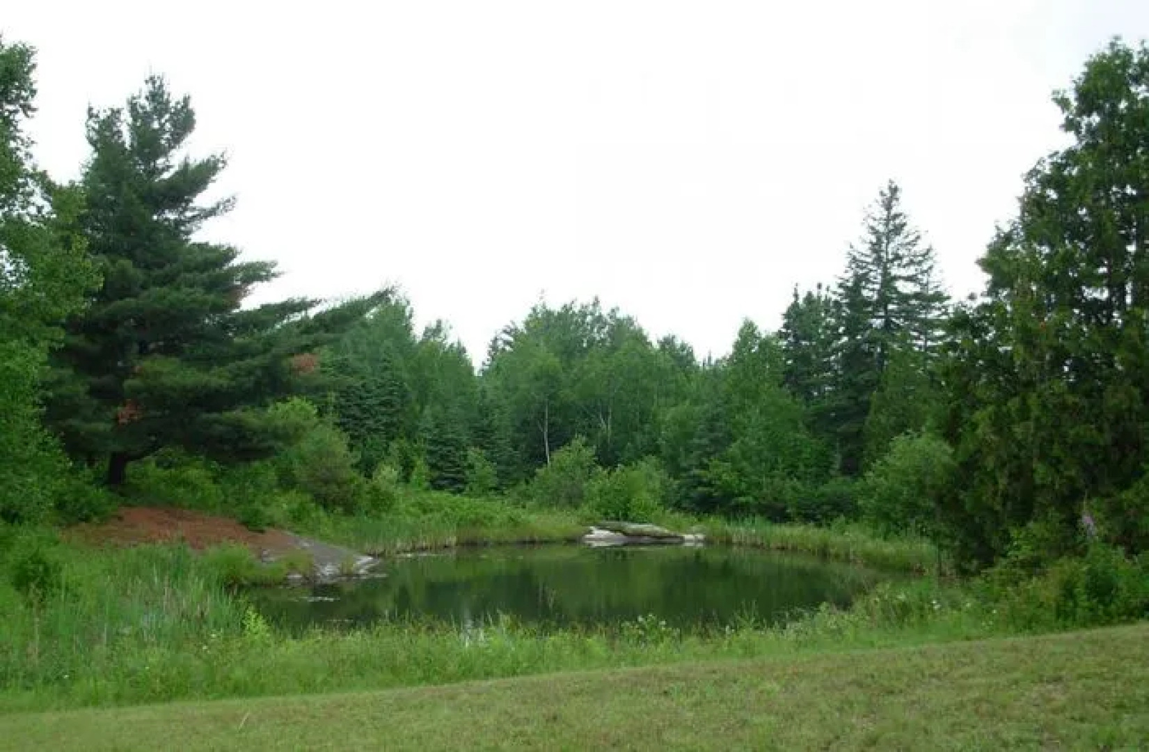 Golden Tulip Sky Gate