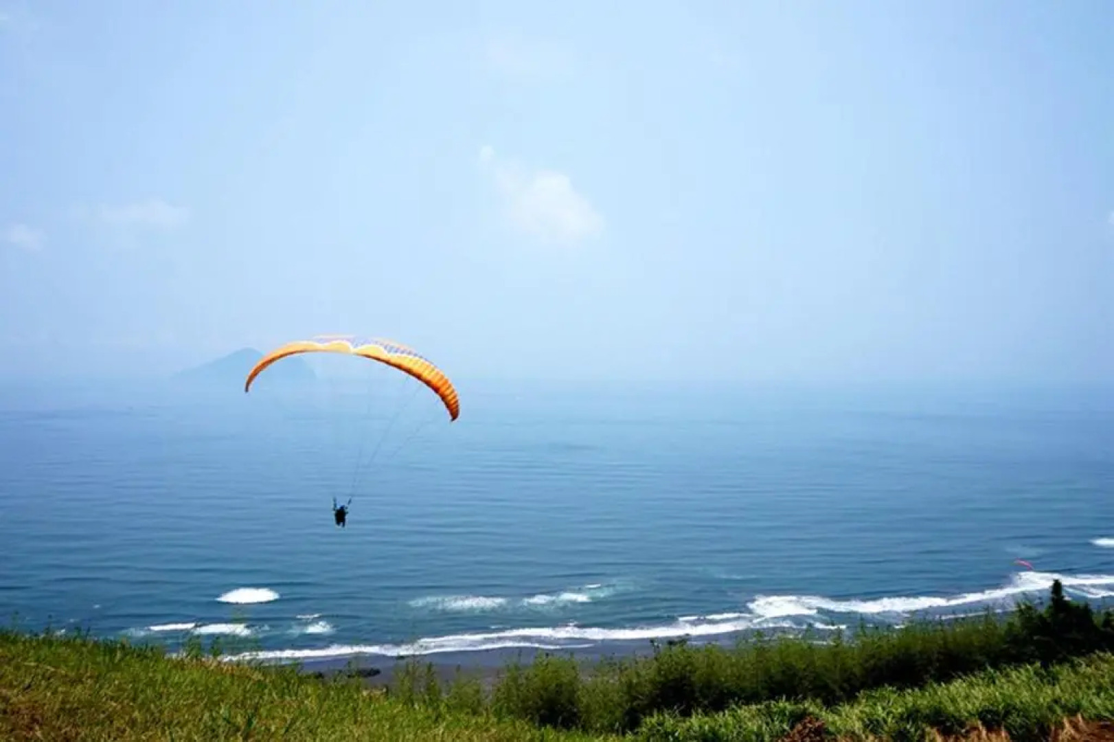 Migratory Birds Hotel