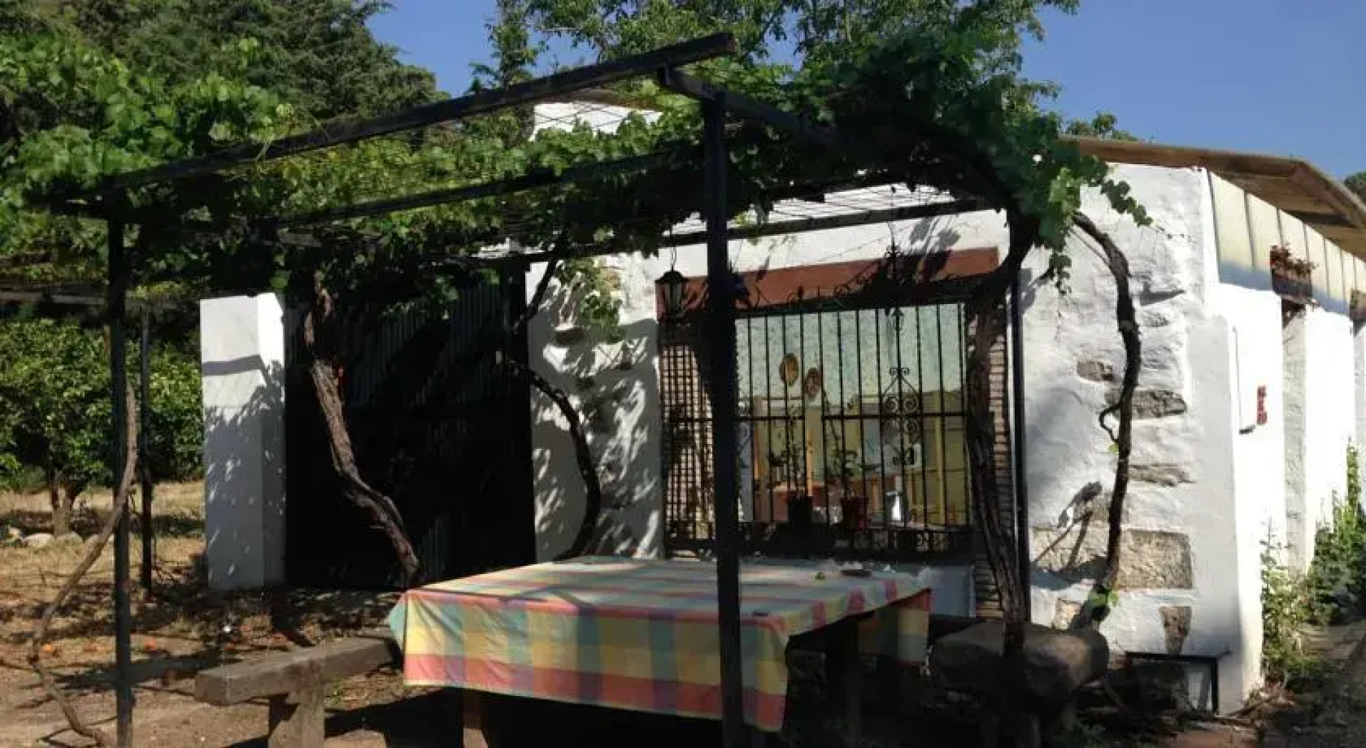 Orange Tree Garden - Glamping Haven