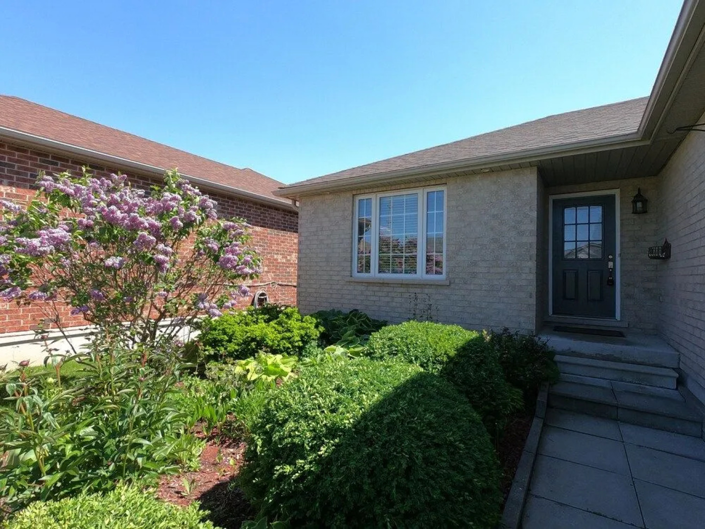 Roxie's Gluten Free Haus