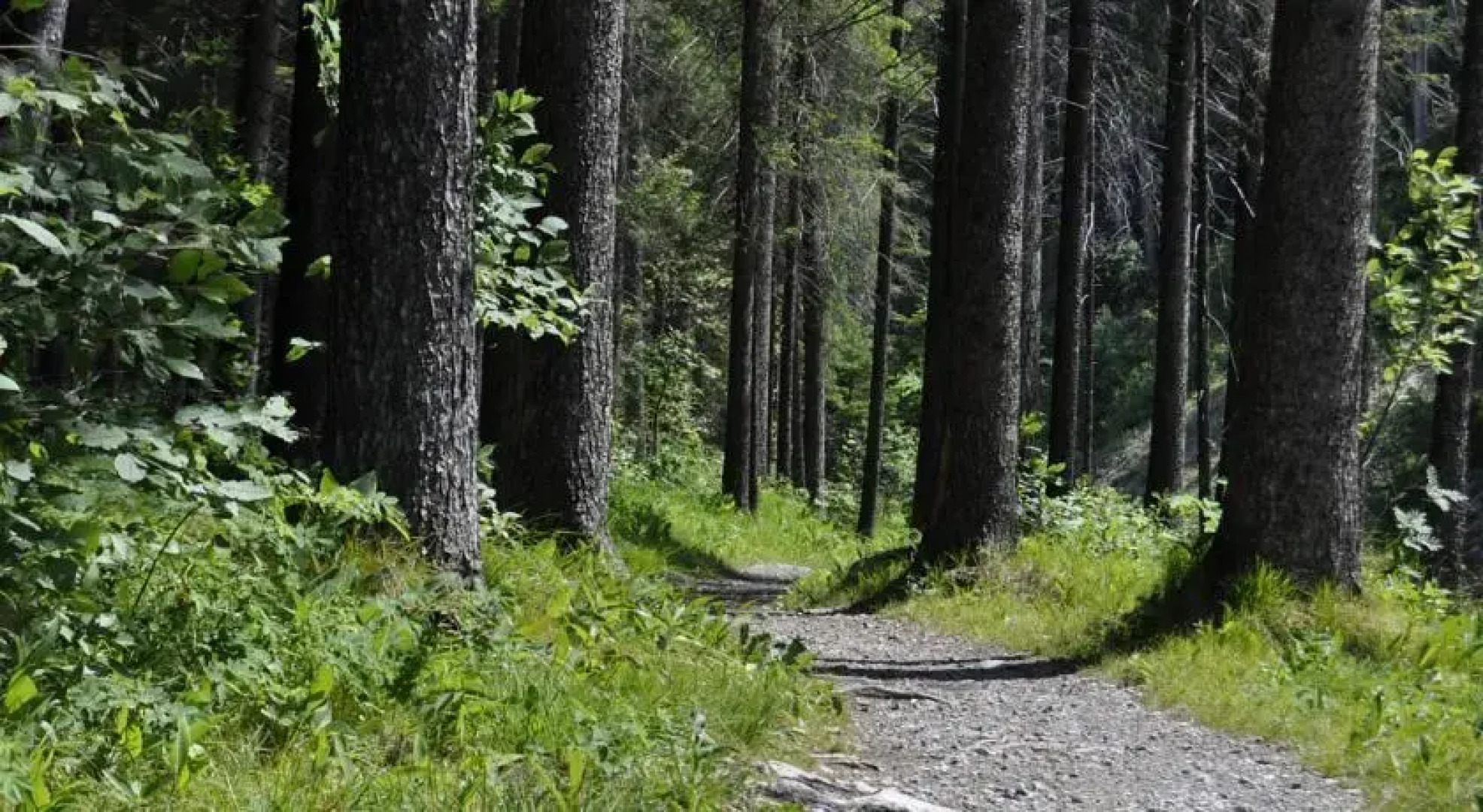 KräuterFewo Alexandra