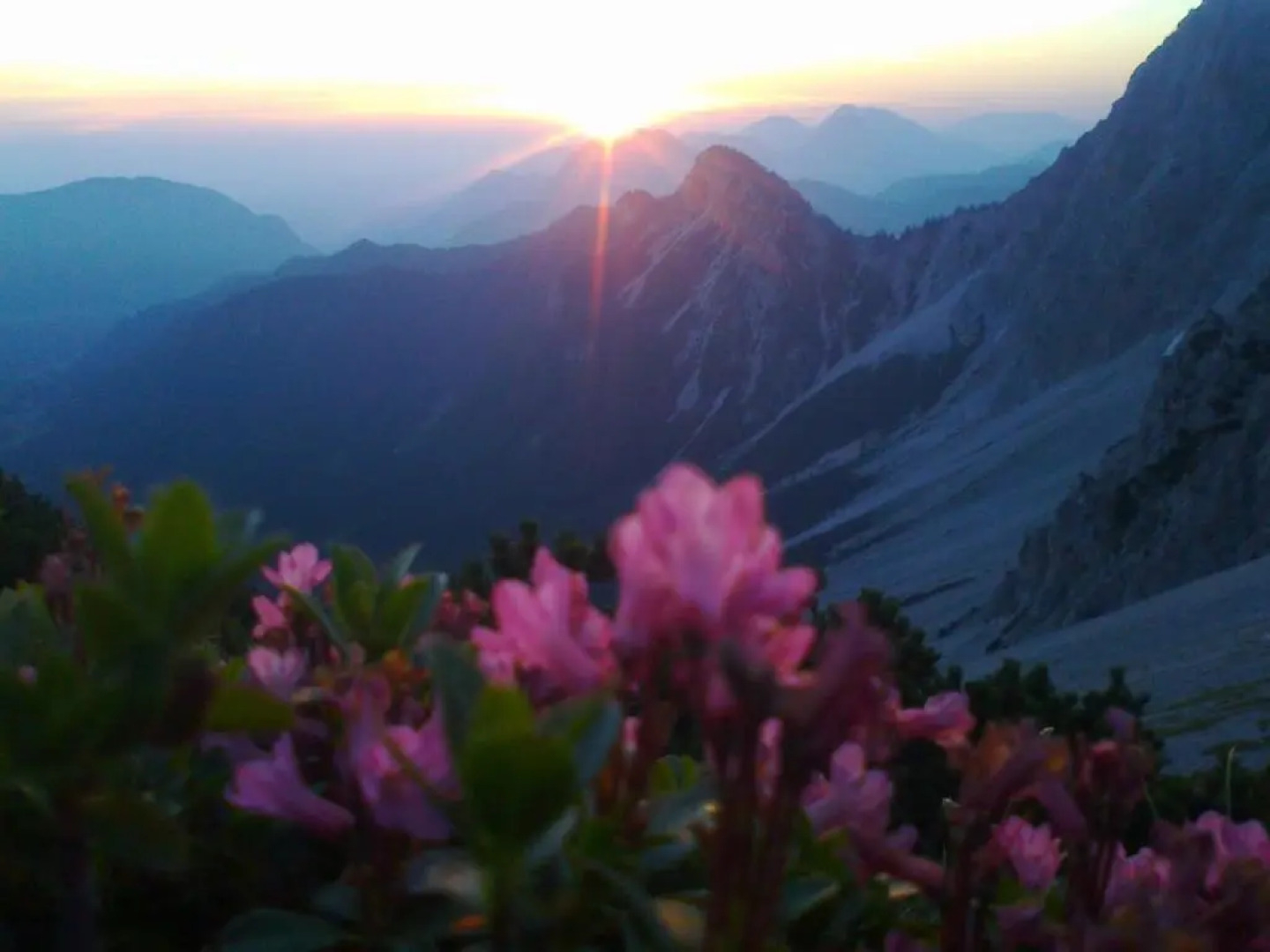 BergPension Lausegger