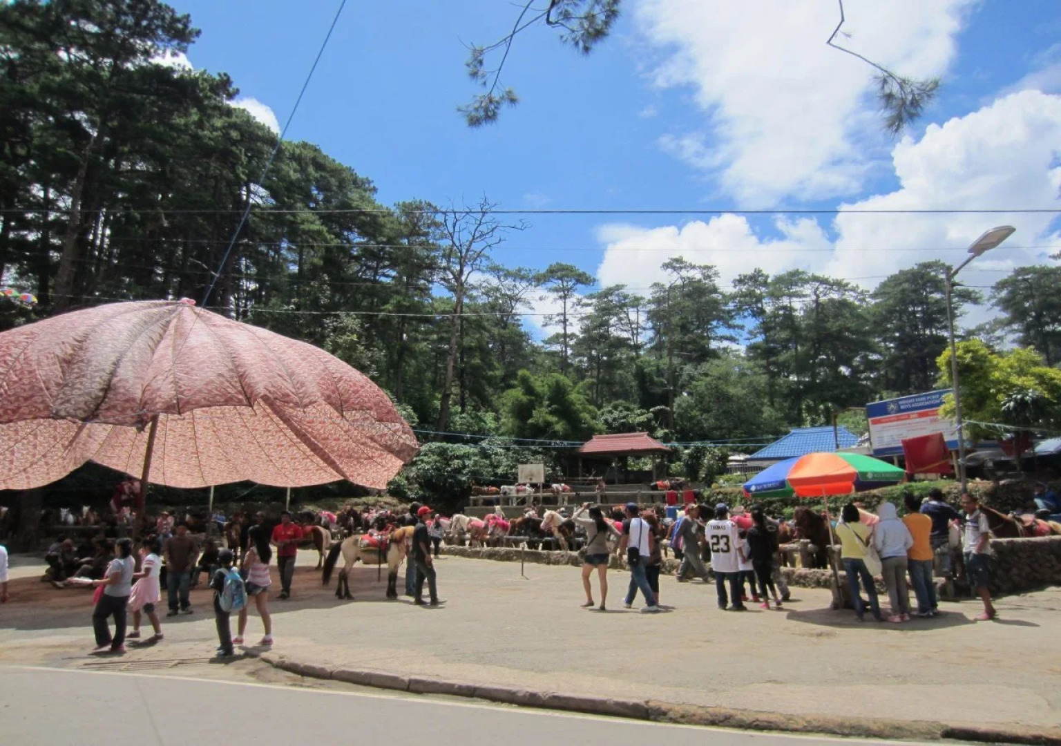 Baguio Lanis Place