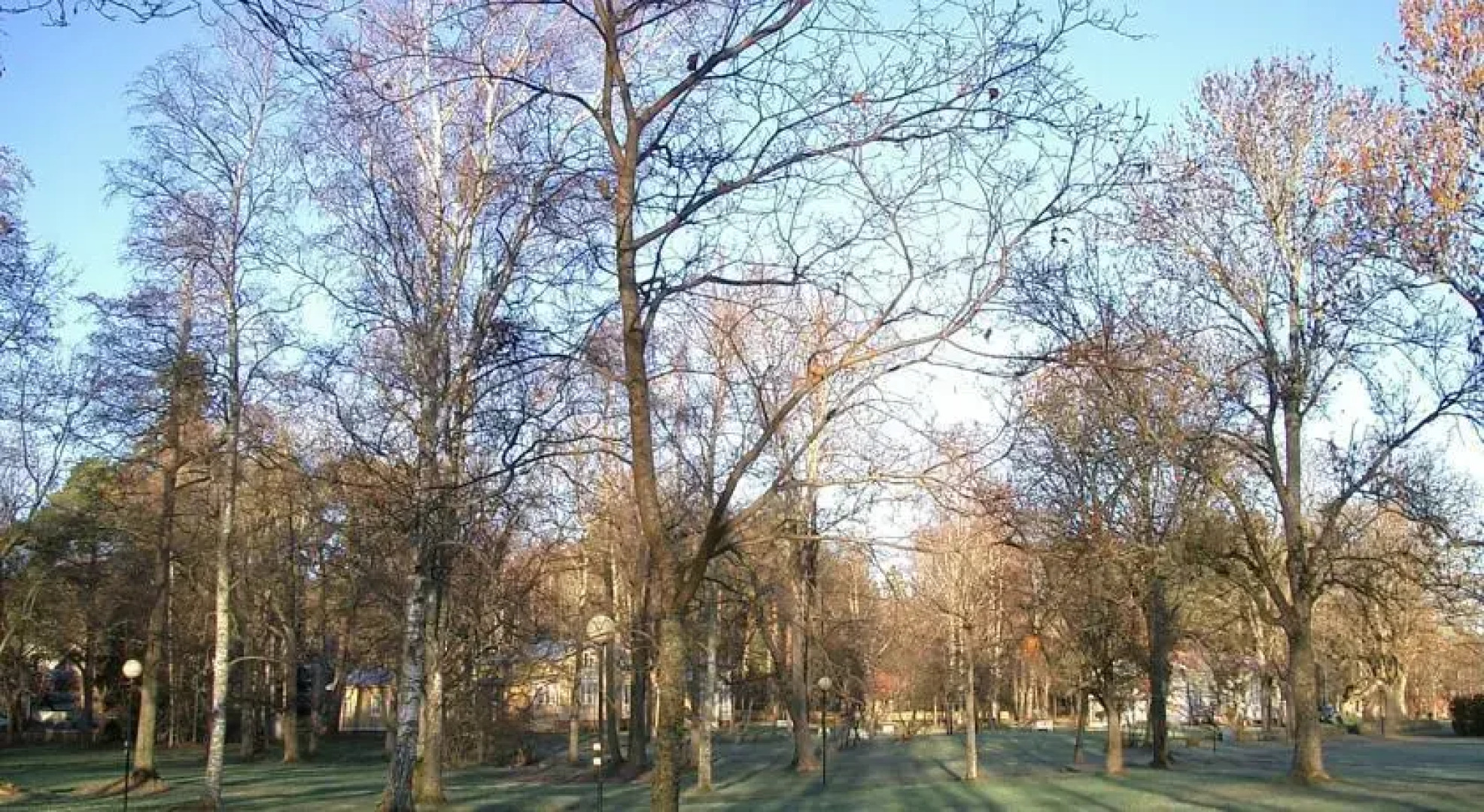 Tamminiemi Lomakeskus