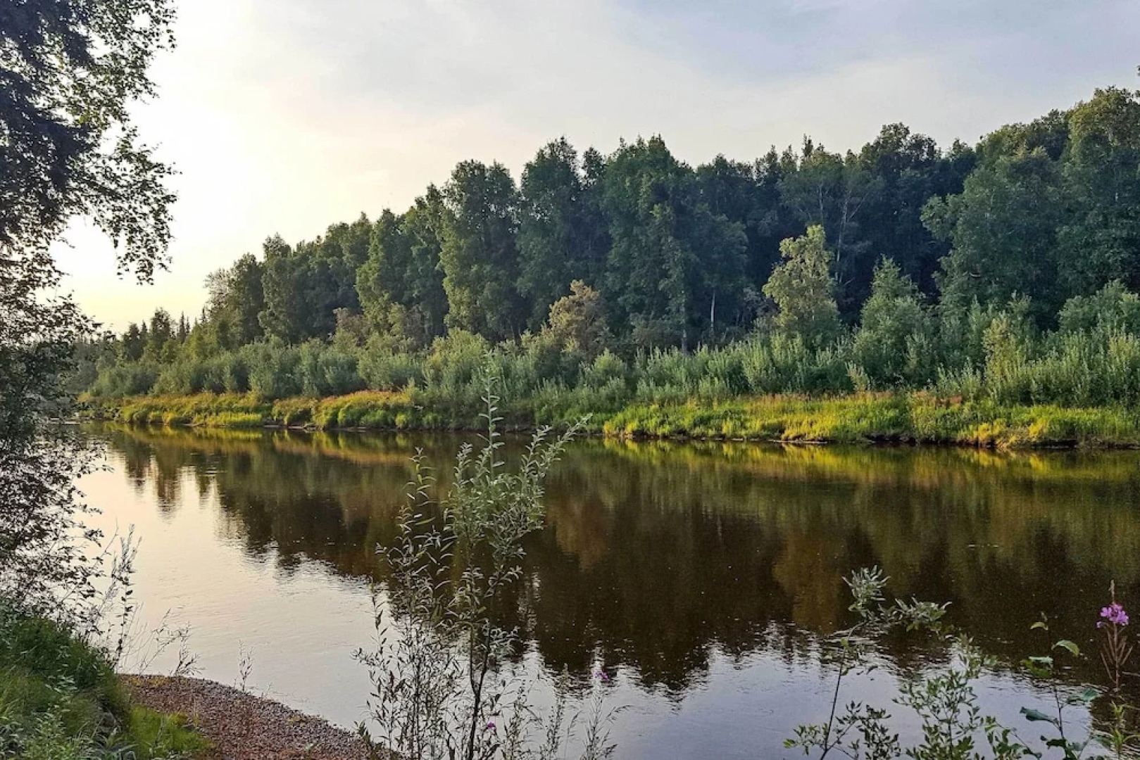 Riverside Log Cabin: On-site Aurora Viewing!