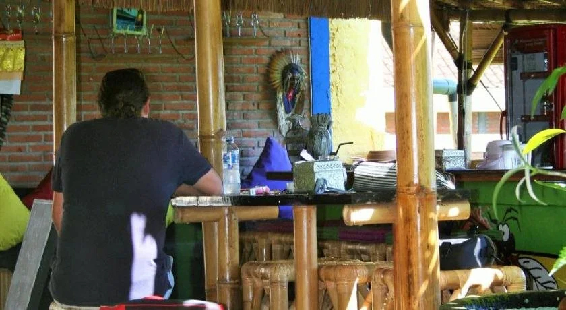 The Happy Mango Tree