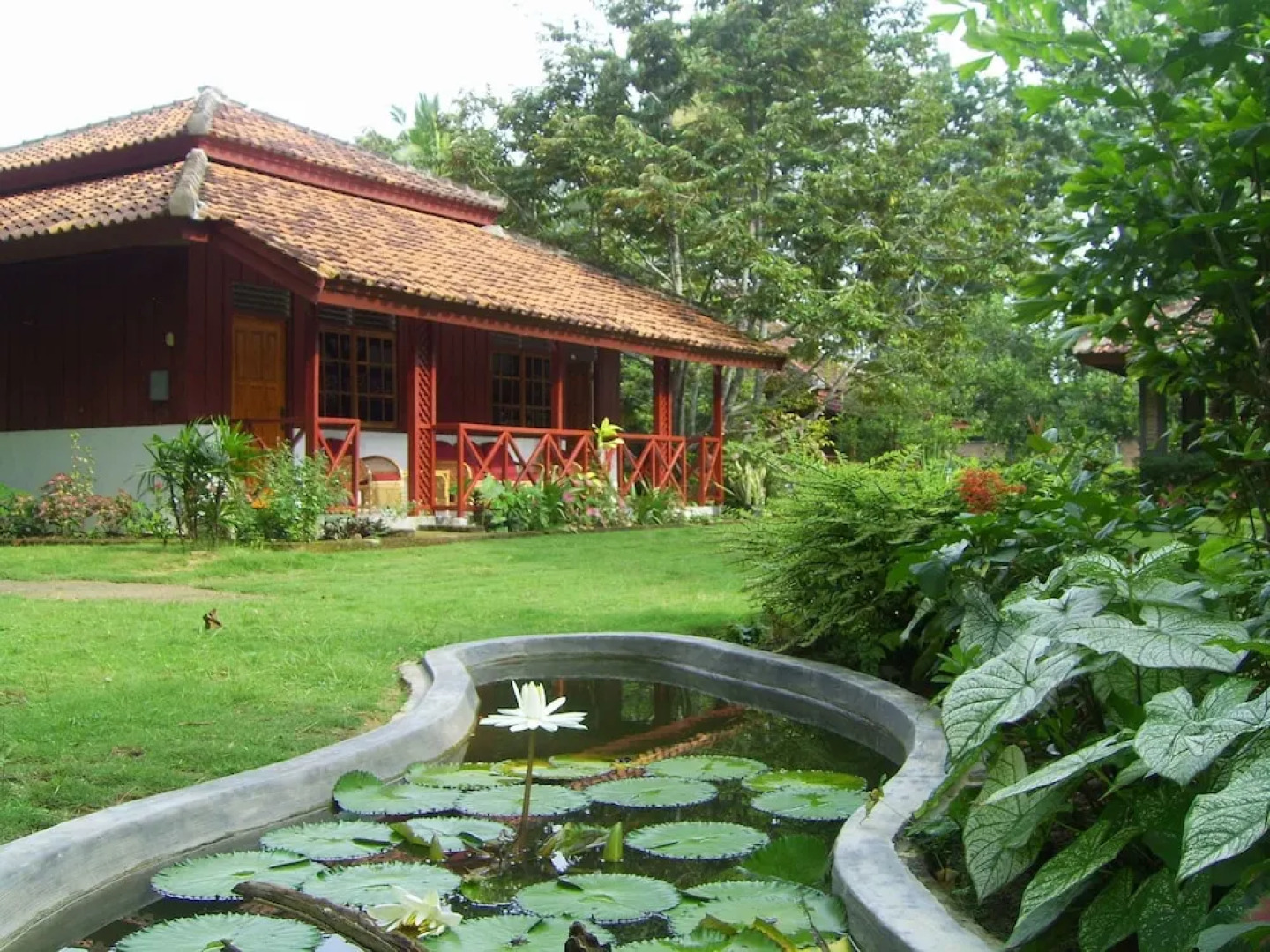 Satwa Sumatra Elephant Eco Lodge