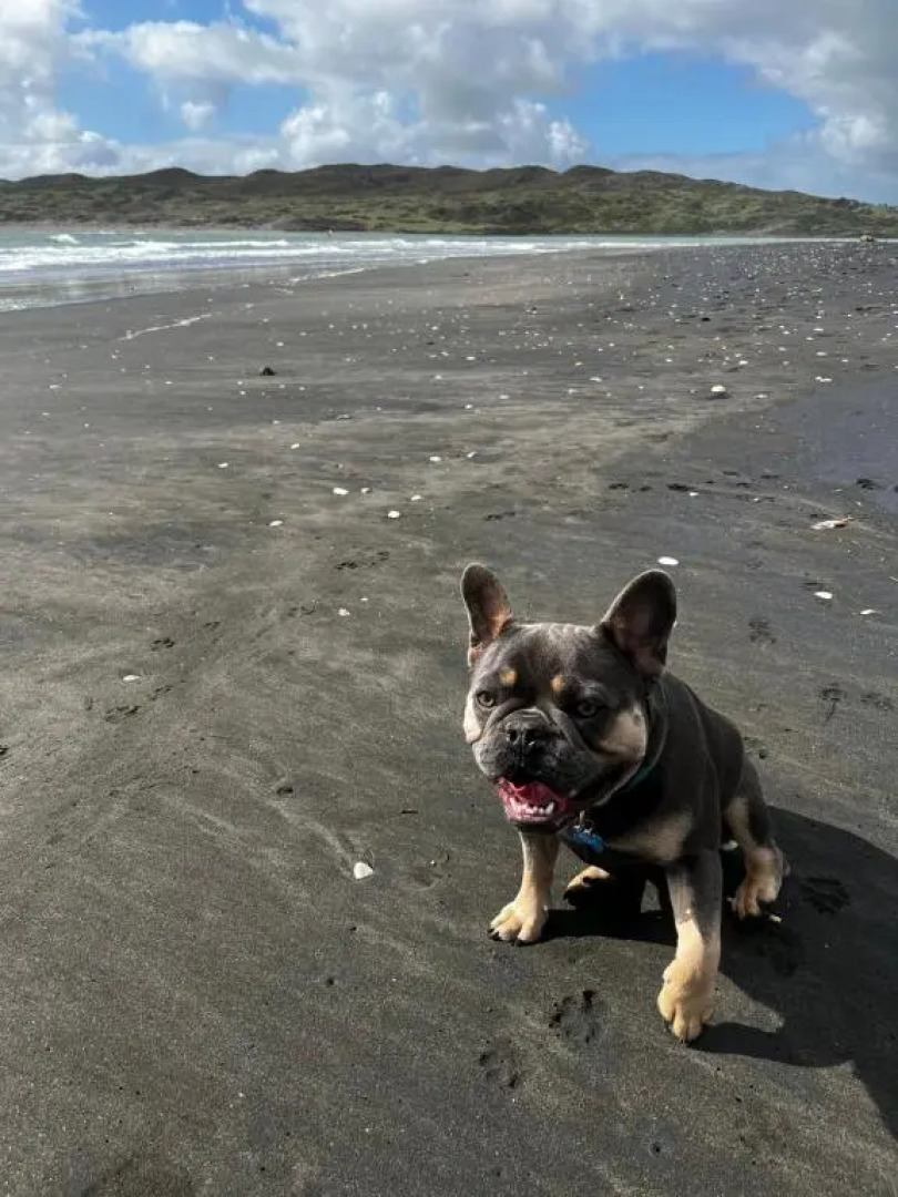 Raglan Retreat on Gilmour