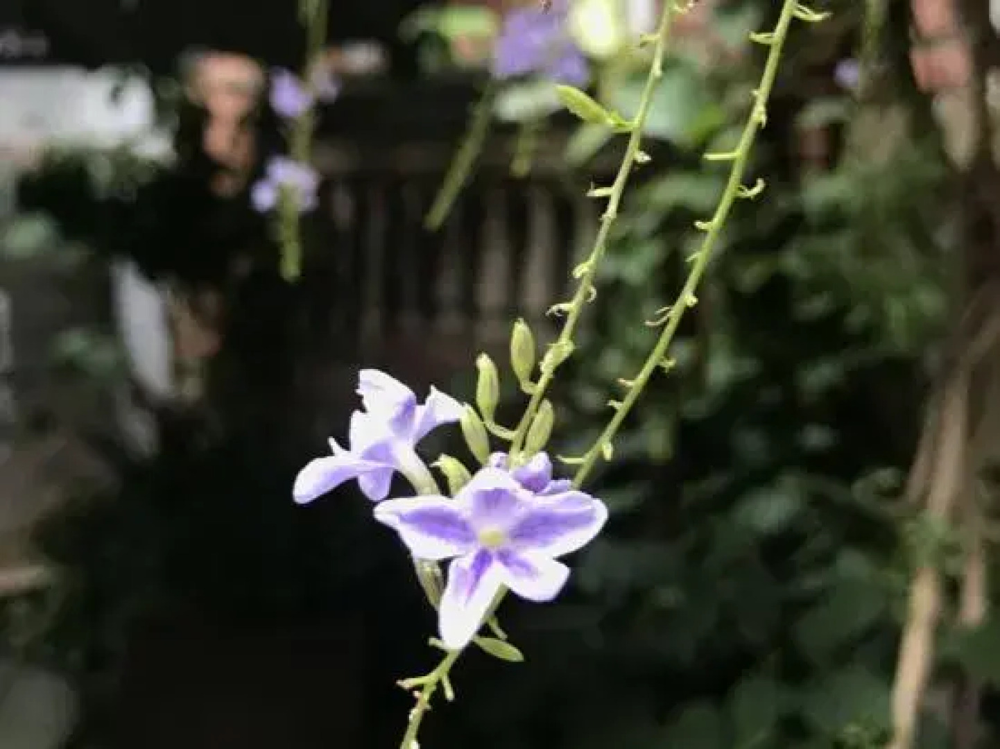 Yinxiang Minnan Hotel