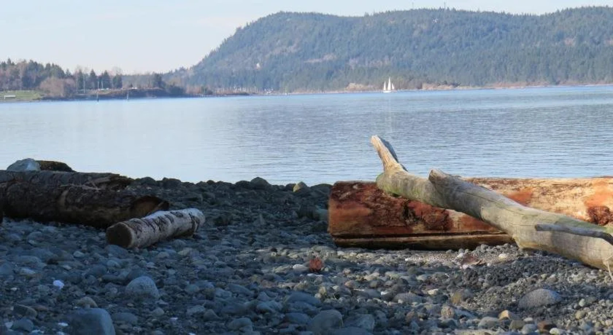 Coastal Lavender BnB