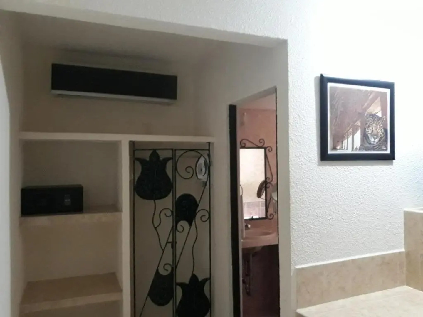 Maya Tulipanes Express