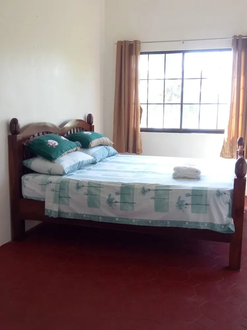 Kiwi's Hidden Resort