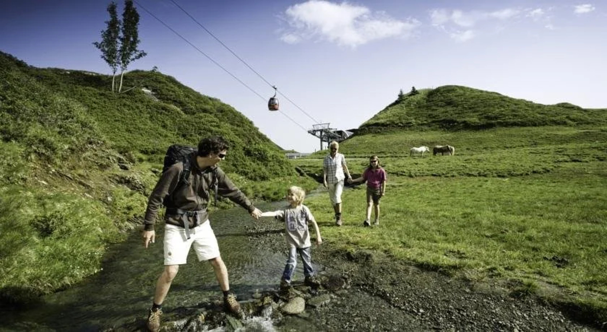 Greenhome Appartement