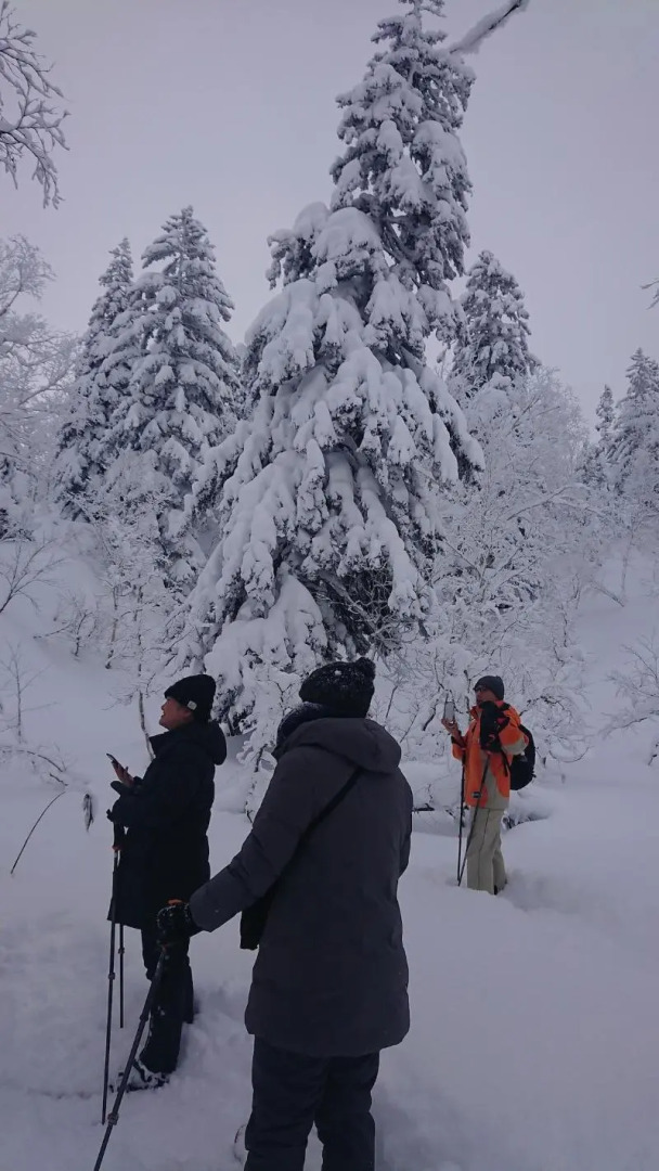 K's House Hokkaido - Asahidake Onsen Hostel