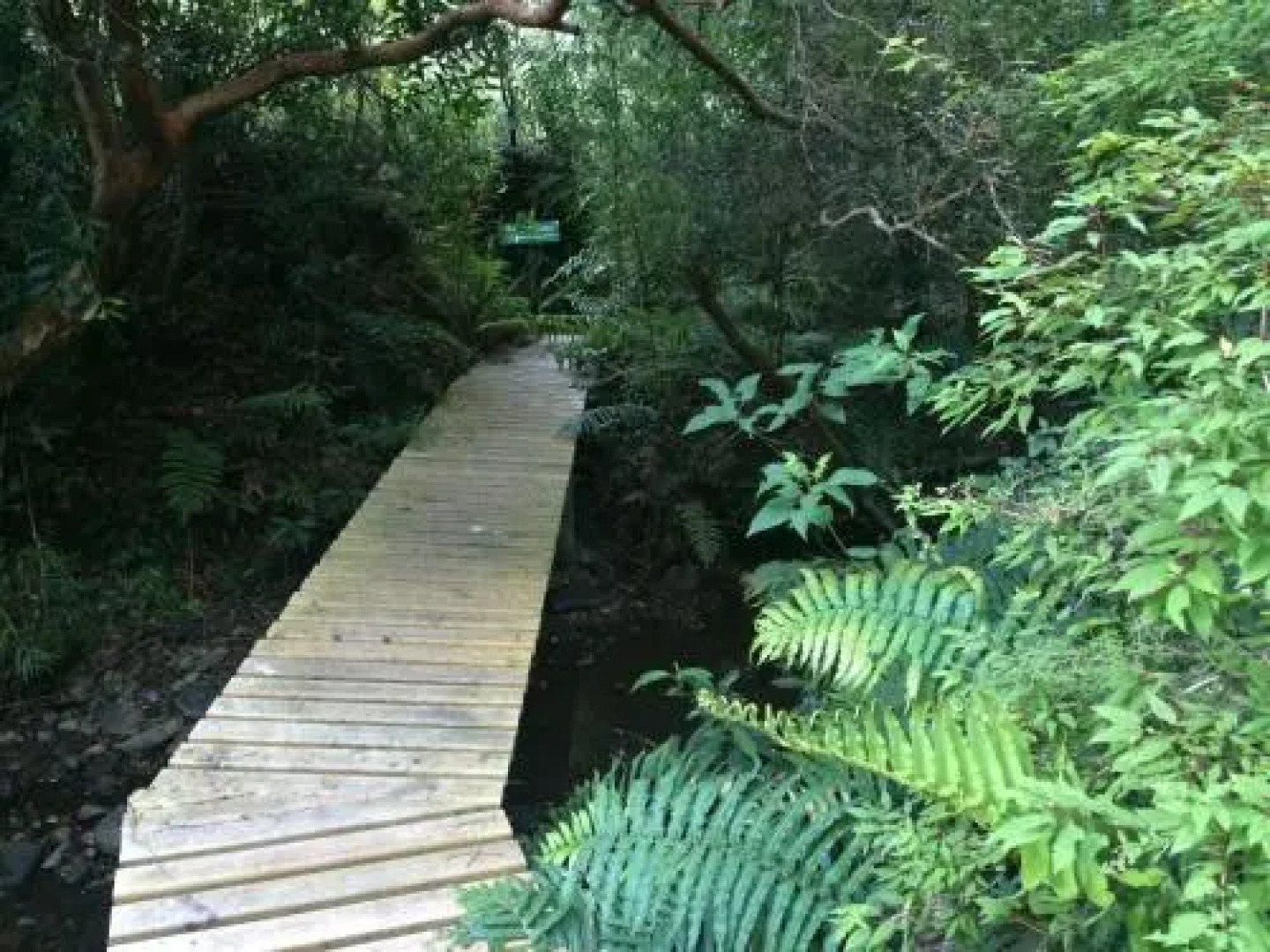 Ecoreserva Quelhue Lodge y Cabañas