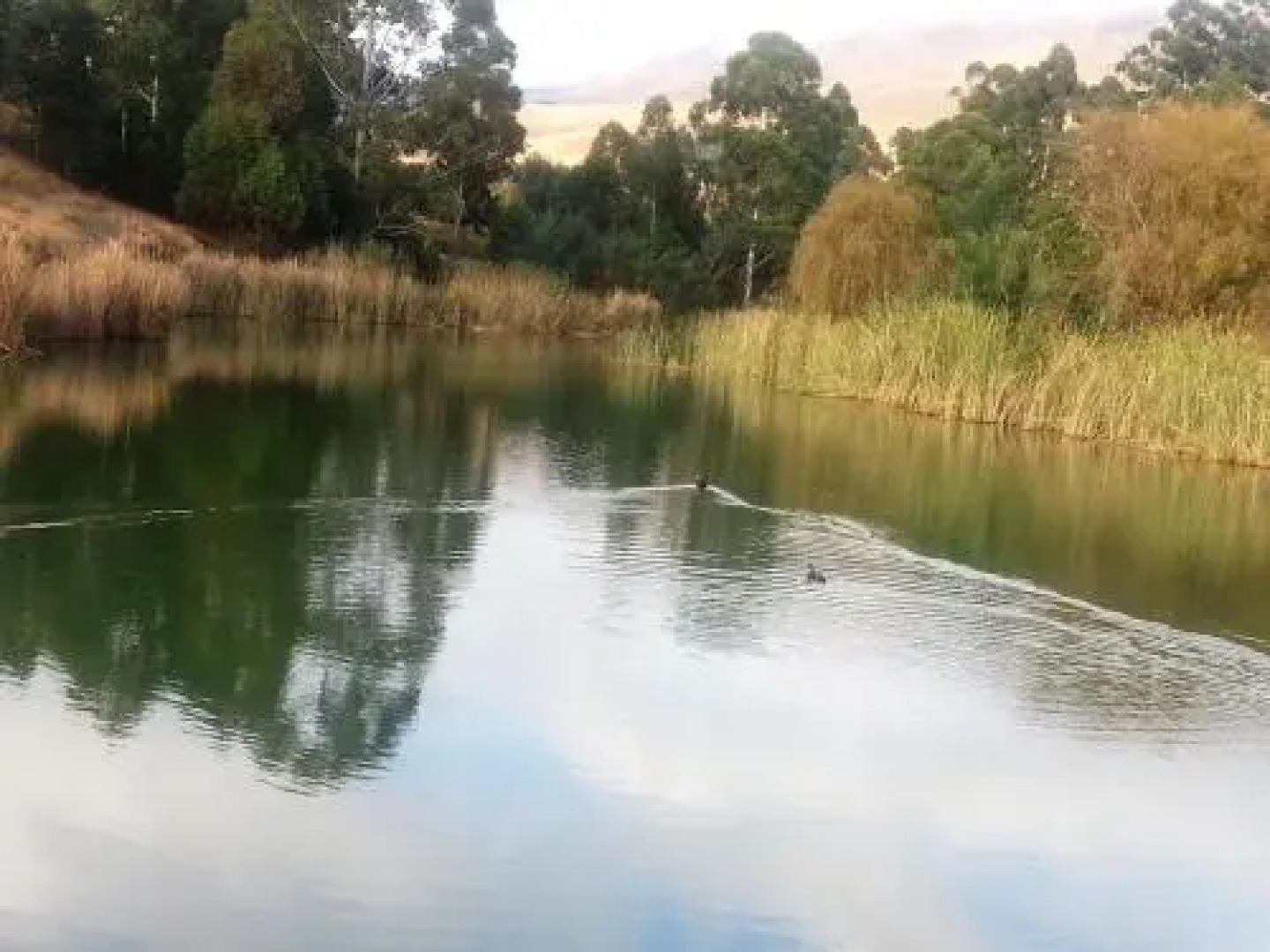 Troutways Private Retreat