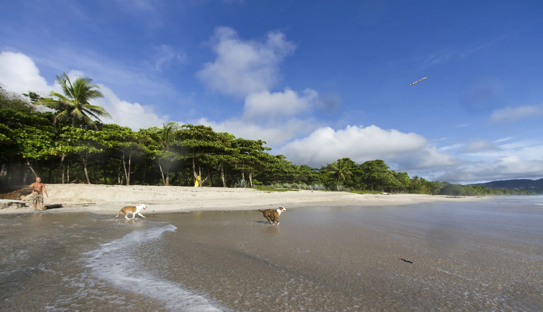 Santa Teresa Surf Vista Villas