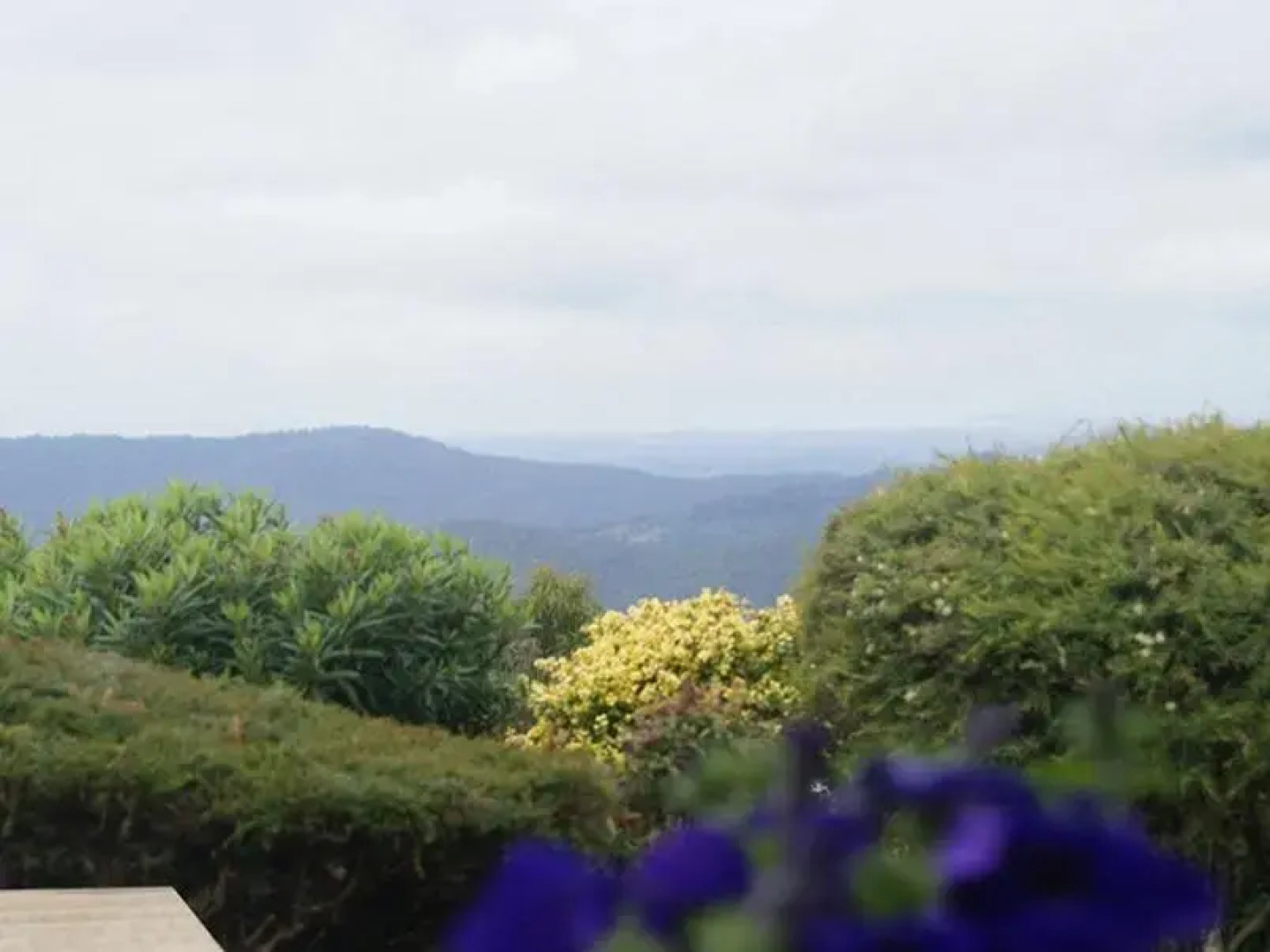 The Hillside Retreat