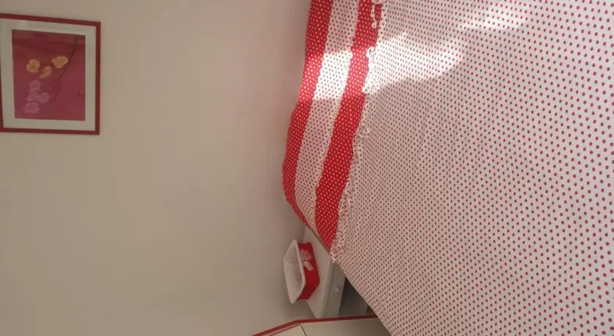 Apartments Novaković