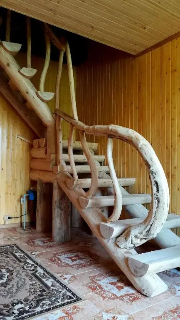 Sadyba u Anastasijky