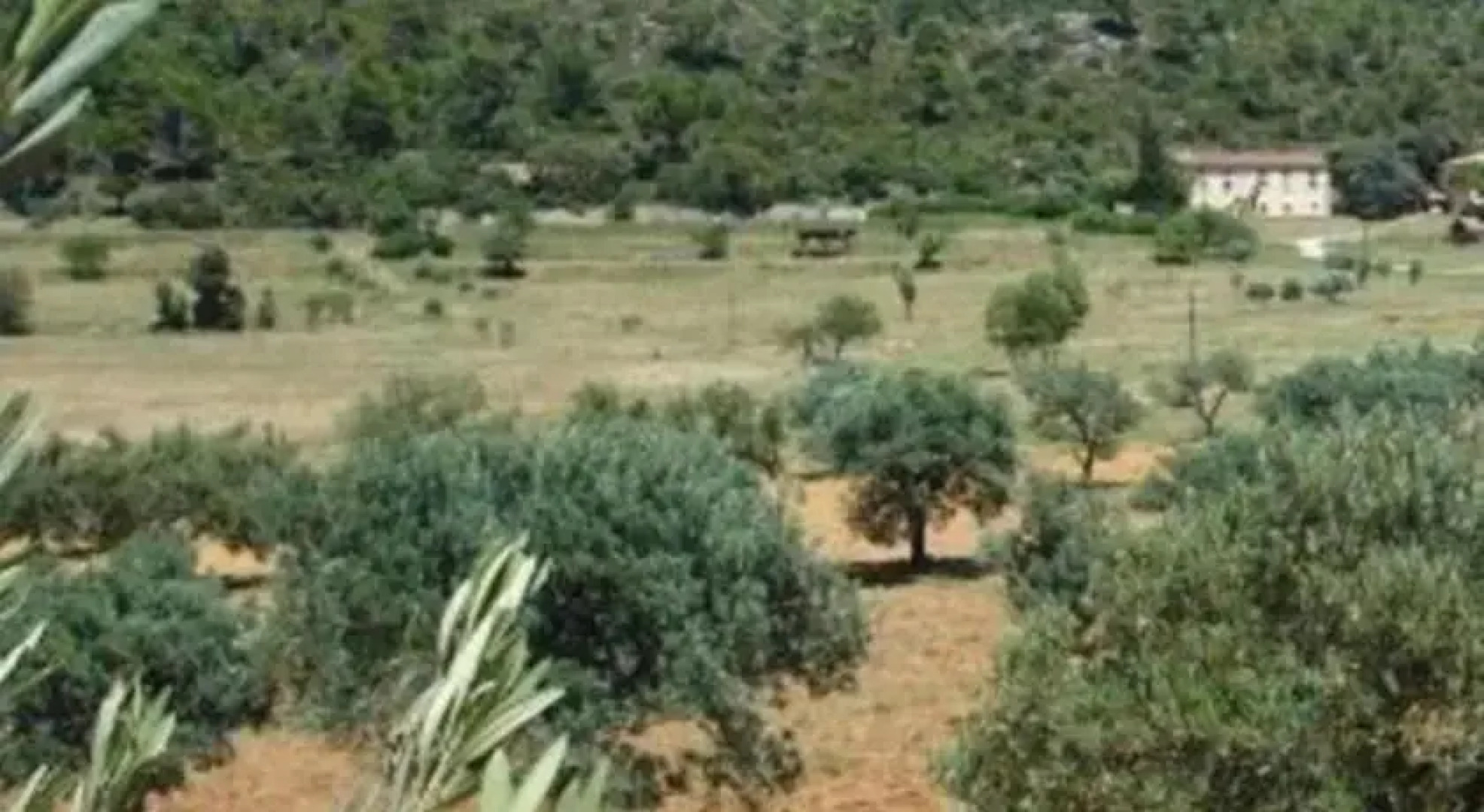 Domaine de Plerimond