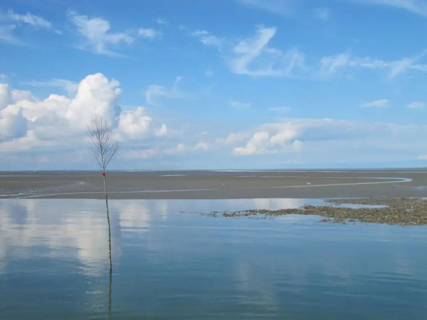 Holiday Home Kleiner Friese Dangast