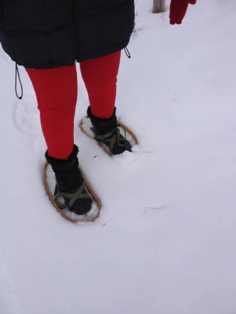 Casavacanze Ciaspole E Uva