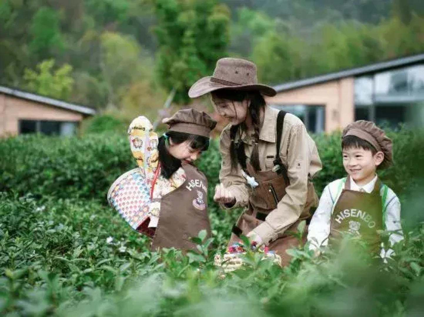Mogan Mountain Senbo nature park&resort